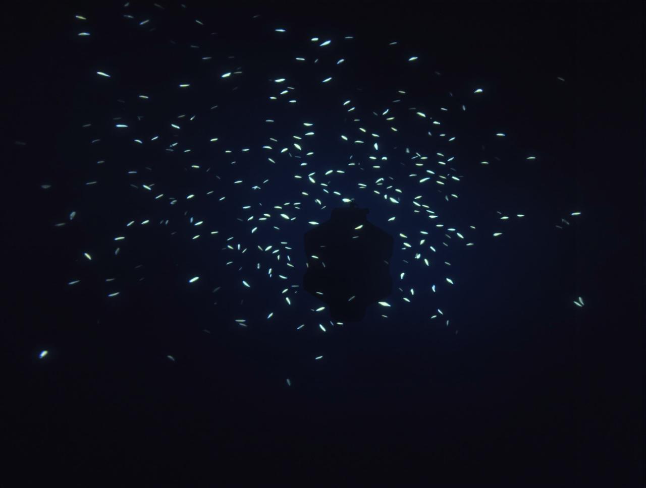 情侣视频纪录片：深海探秘观后感分享